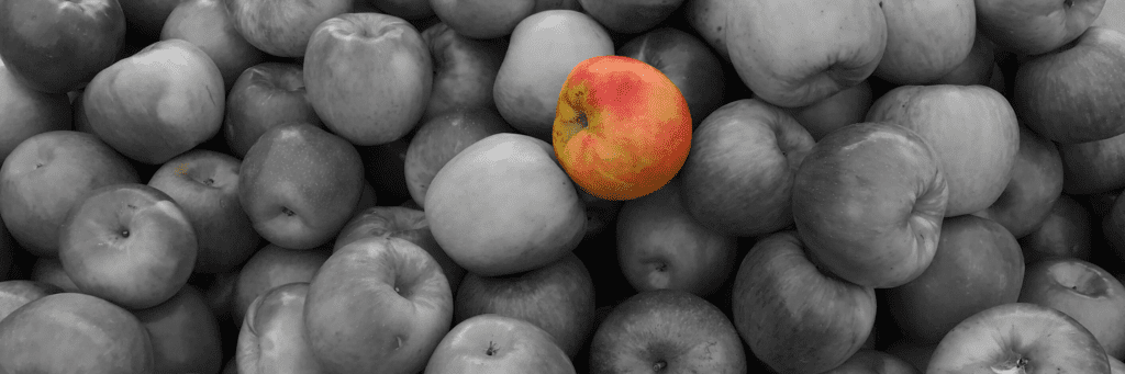 stand out online presentations